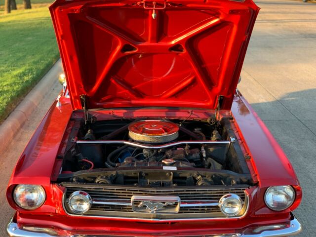 1966 Ford Mustang New Pony Interior - photo 10