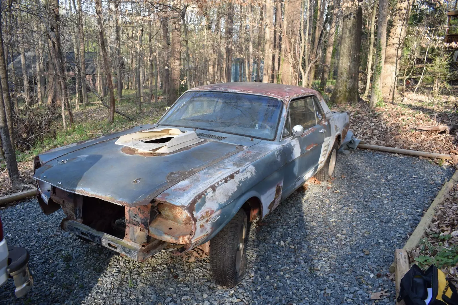 1966 Ford Mustang