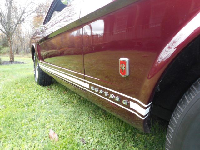 1966 Ford Mustang GT tribute - photo 10