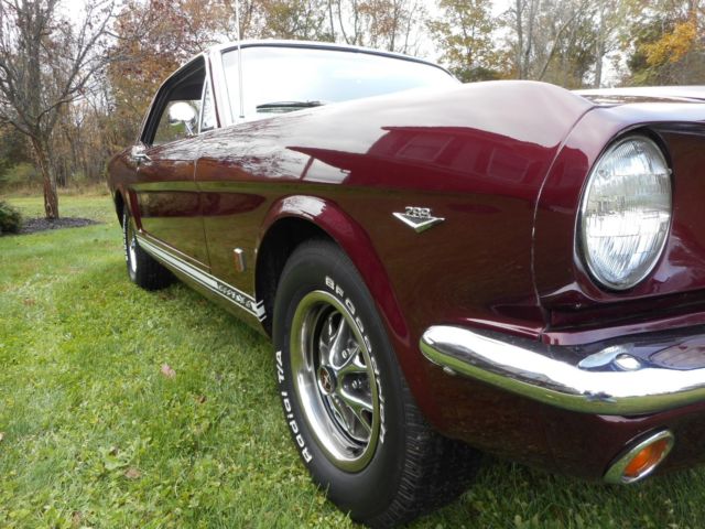 1966 Ford Mustang GT tribute - photo 9