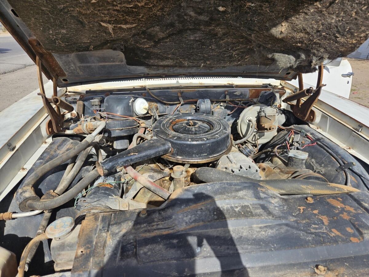 1966 Oldsmobile Custom Cruiser Vista Cruiser - photo 10
