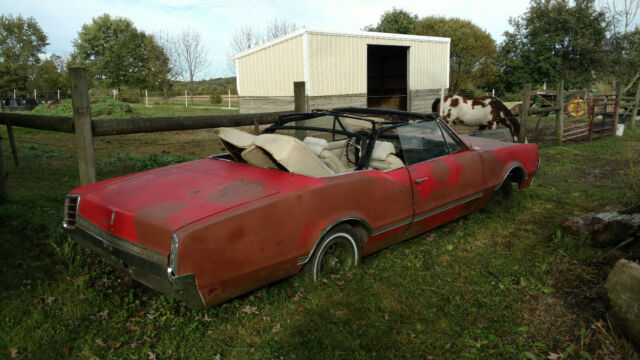 1966 Oldsmobile Cutlass 442 - photo 2