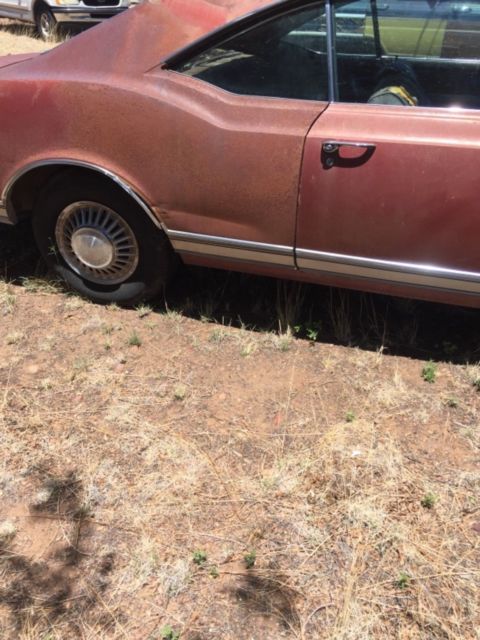 1966 Oldsmobile Eighty-Eight - photo 7