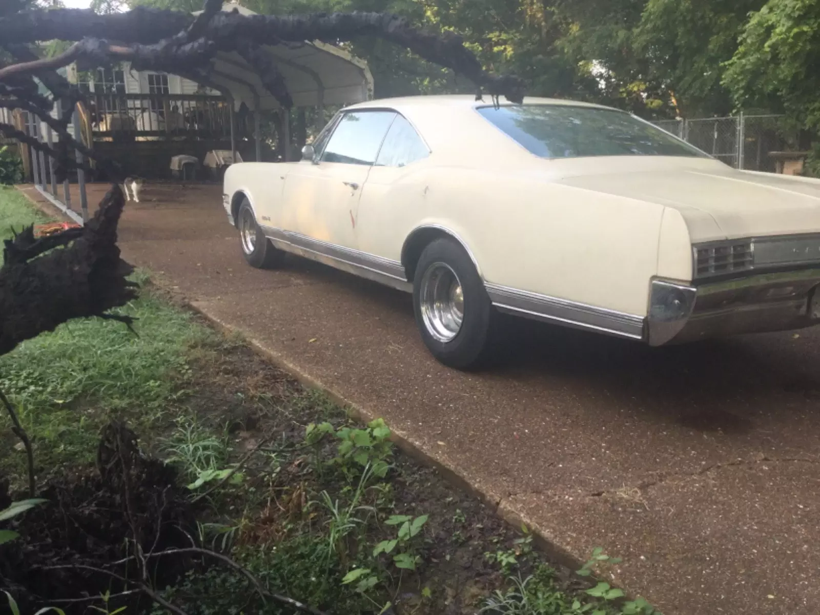 1966 Oldsmobile Delta 88 Holiday Coupe - photo 3