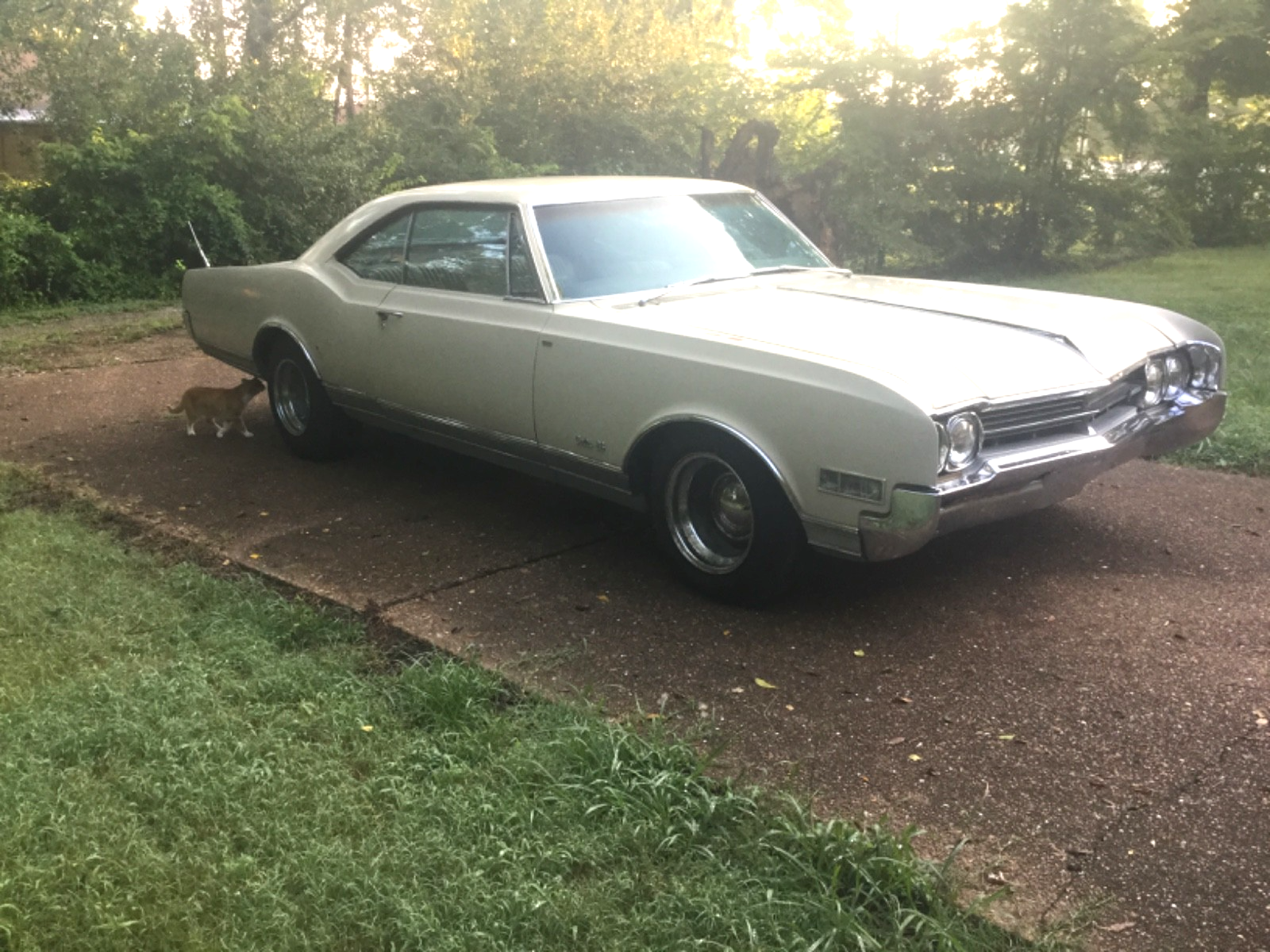 1966 Oldsmobile Delta 88 Holiday Coupe - photo 6