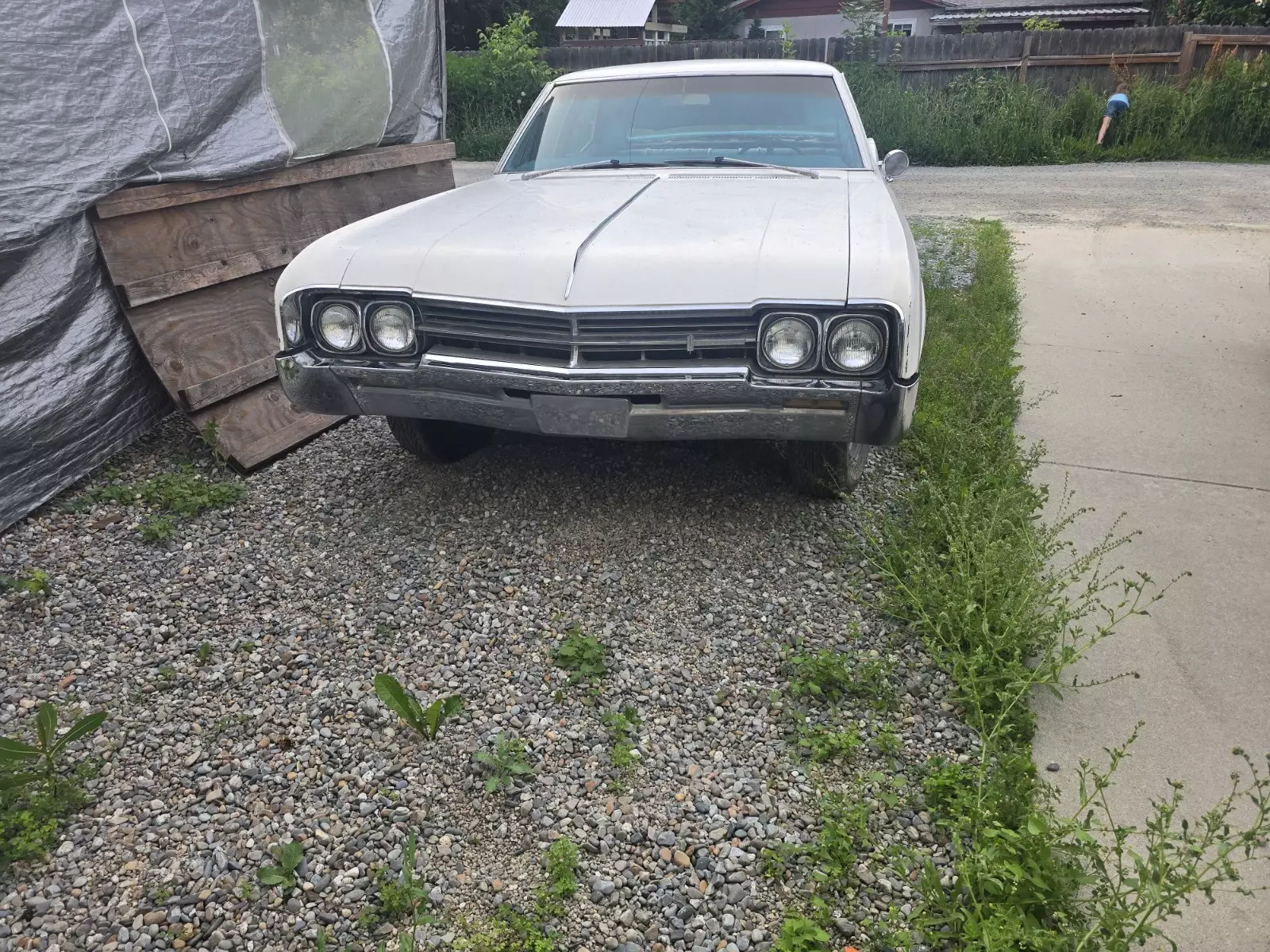 1966 Oldsmobile Jetstar 88 1966 Oldsmobile Jetstar 88