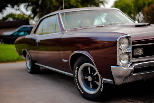 1966 Pontiac GTO 4 Speed true 242 Matching Numbers Protect-O Plate PHS documents 1966 Pontiac GTO