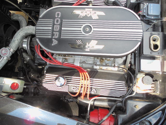 1966 Shelby 1966 COBRA ROADSTER ROADSTER - photo 6