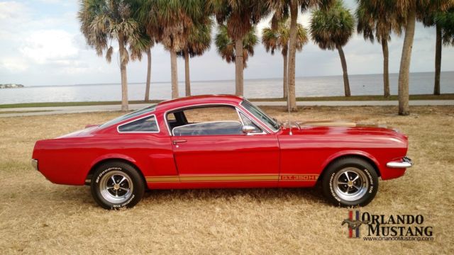 1966 Shelby Cobra GT350 Hertz - photo 2