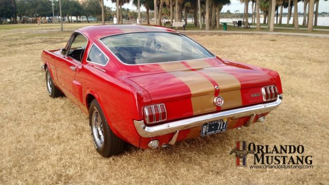 1966 Shelby Cobra GT350 Hertz - photo 3
