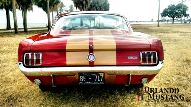 1966 Shelby Cobra GT350 Hertz - photo 4