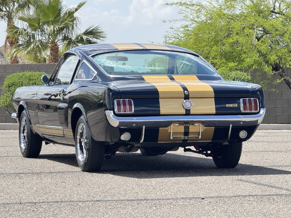 1966 Shelby GT350H - photo 5