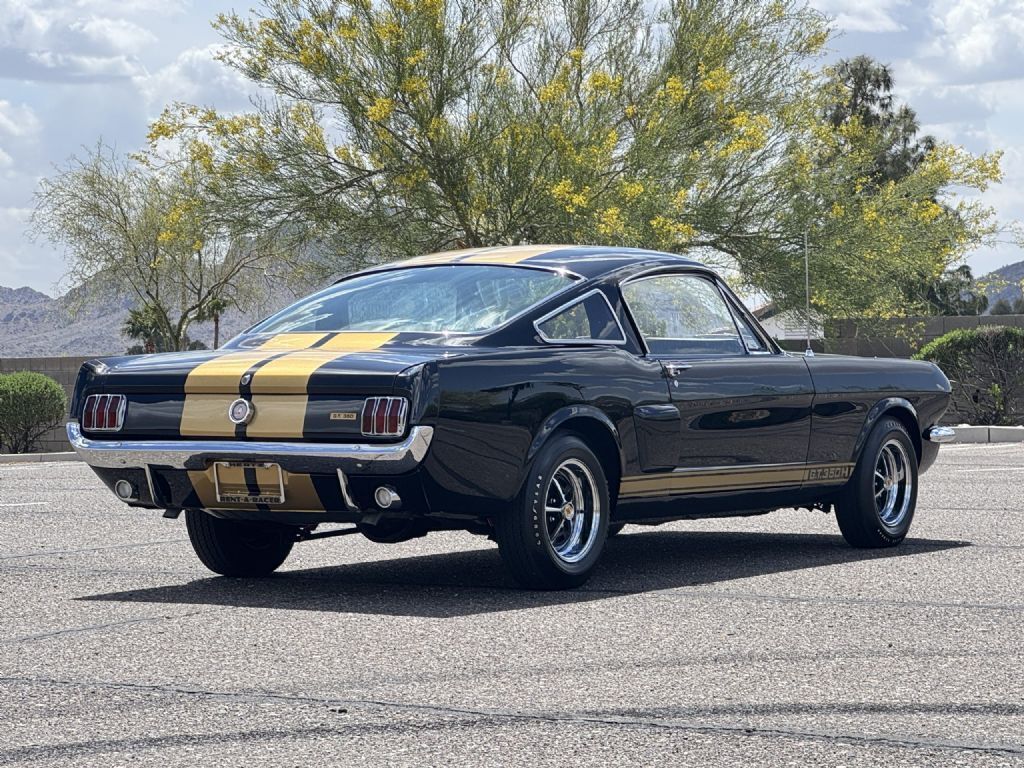 1966 Shelby GT350H - photo 7