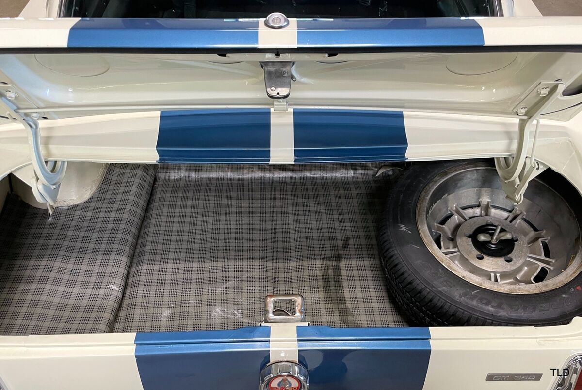 1966 Shelby GT350H Fastback - photo 5