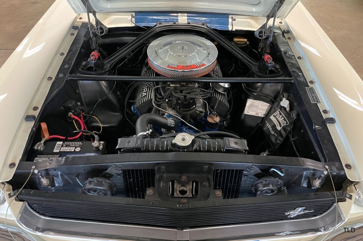 1966 Shelby GT350H Mustang Fastback - photo 6