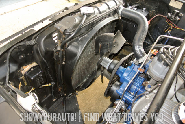 1966 Ford Mustang Shelby GT350 - photo 3