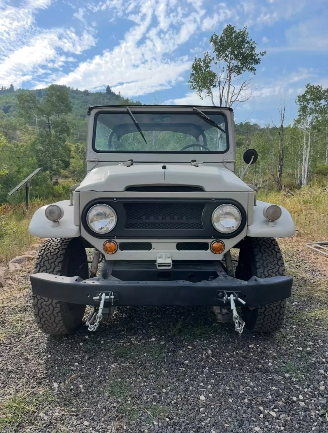 1966 Toyota Land Cruiser - photo 2