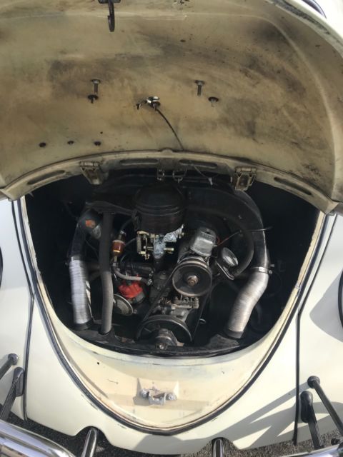 1966 Volkswagen Beetle - Classic - photo 3