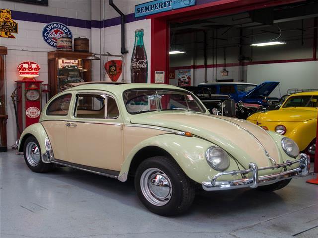 1966 Volkswagen Beetle CA Top 1966 Volkswagen Beetle-New Beetle