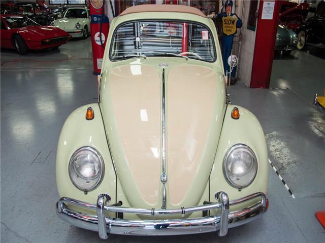 1966 Volkswagen Beetle-New Beetle - photo 3