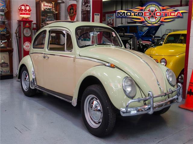 1966 Volkswagen Beetle-New Beetle - photo 4