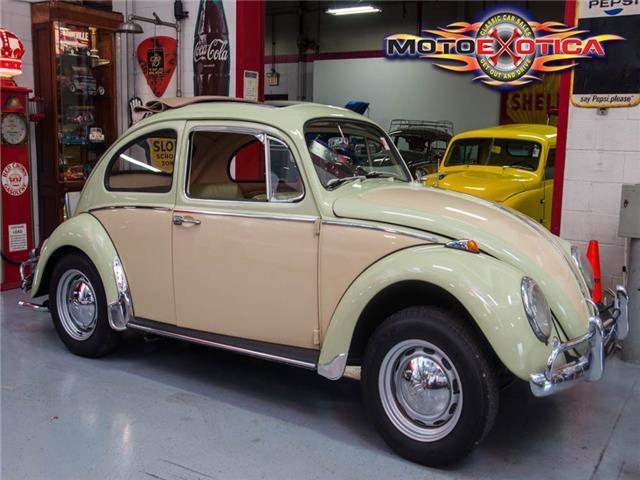 1966 Volkswagen Beetle-New Beetle - photo 5