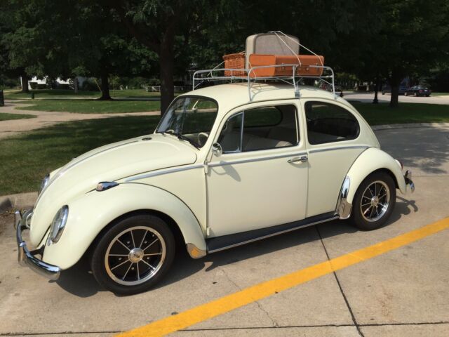 1966 Volkswagen Beetle Classic Car Show Winner! 1966 Volkswagen Beetle - Classic Classic