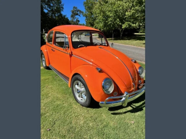 1966 Volkswagen Beetle - Classic - photo 4