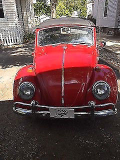 1966 Volkswagen Beetle - Classic Beetle - photo 3
