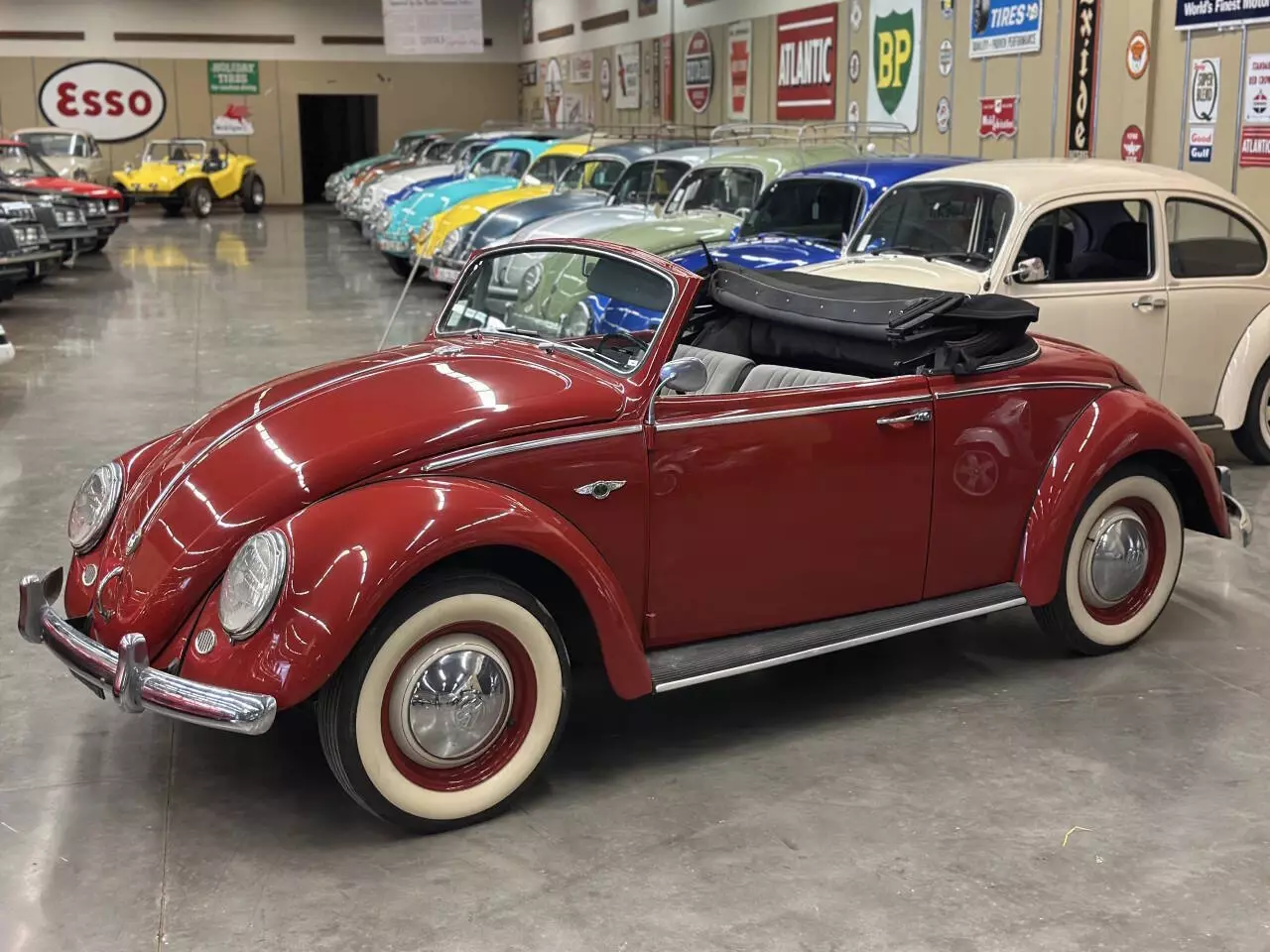 1966 Volkswagen Beetle-New - photo 3