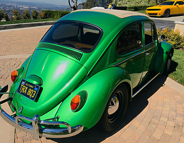 1966 Volkswagen Beetle - Classic - photo 6