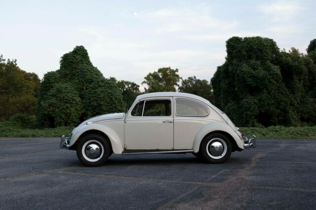 1966 Volkswagen Beetle - Classic - photo 4