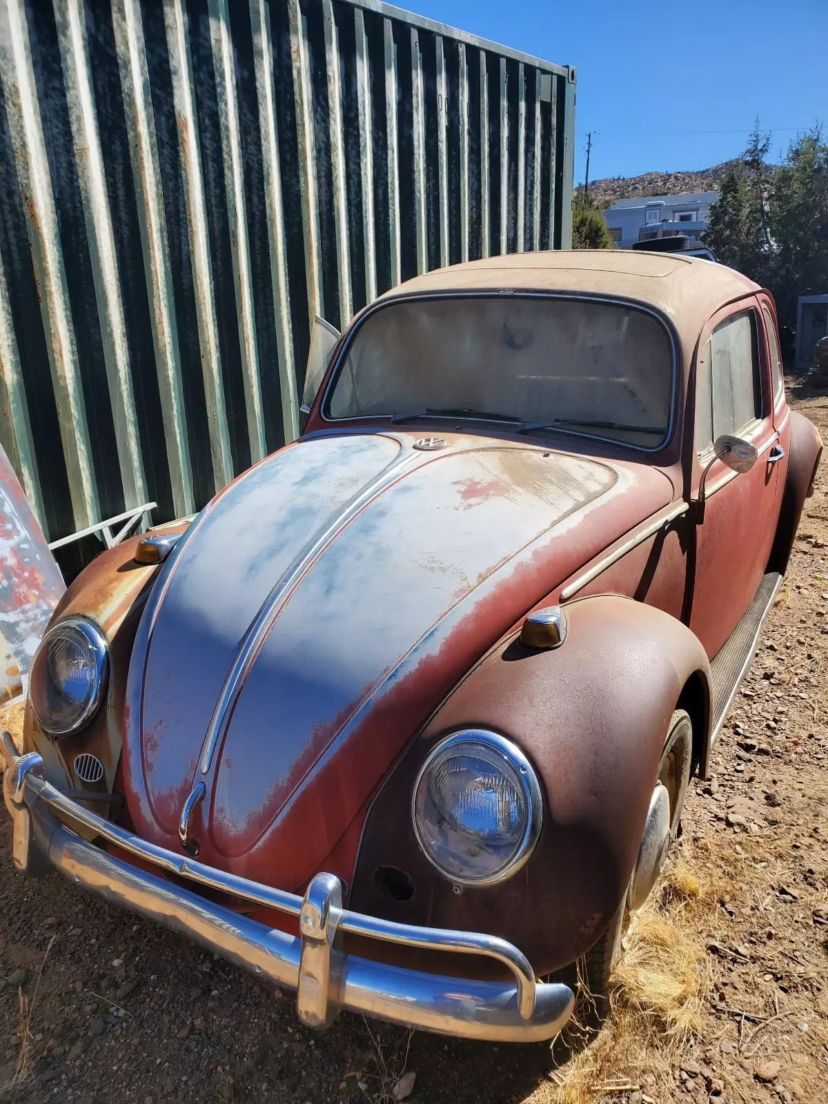 1966 Volkswagen Beetle