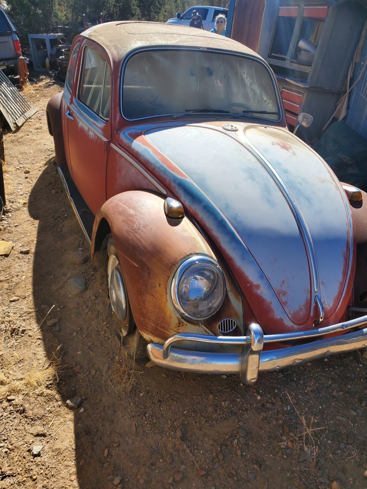 1966 Volkswagen Beetle - photo 3