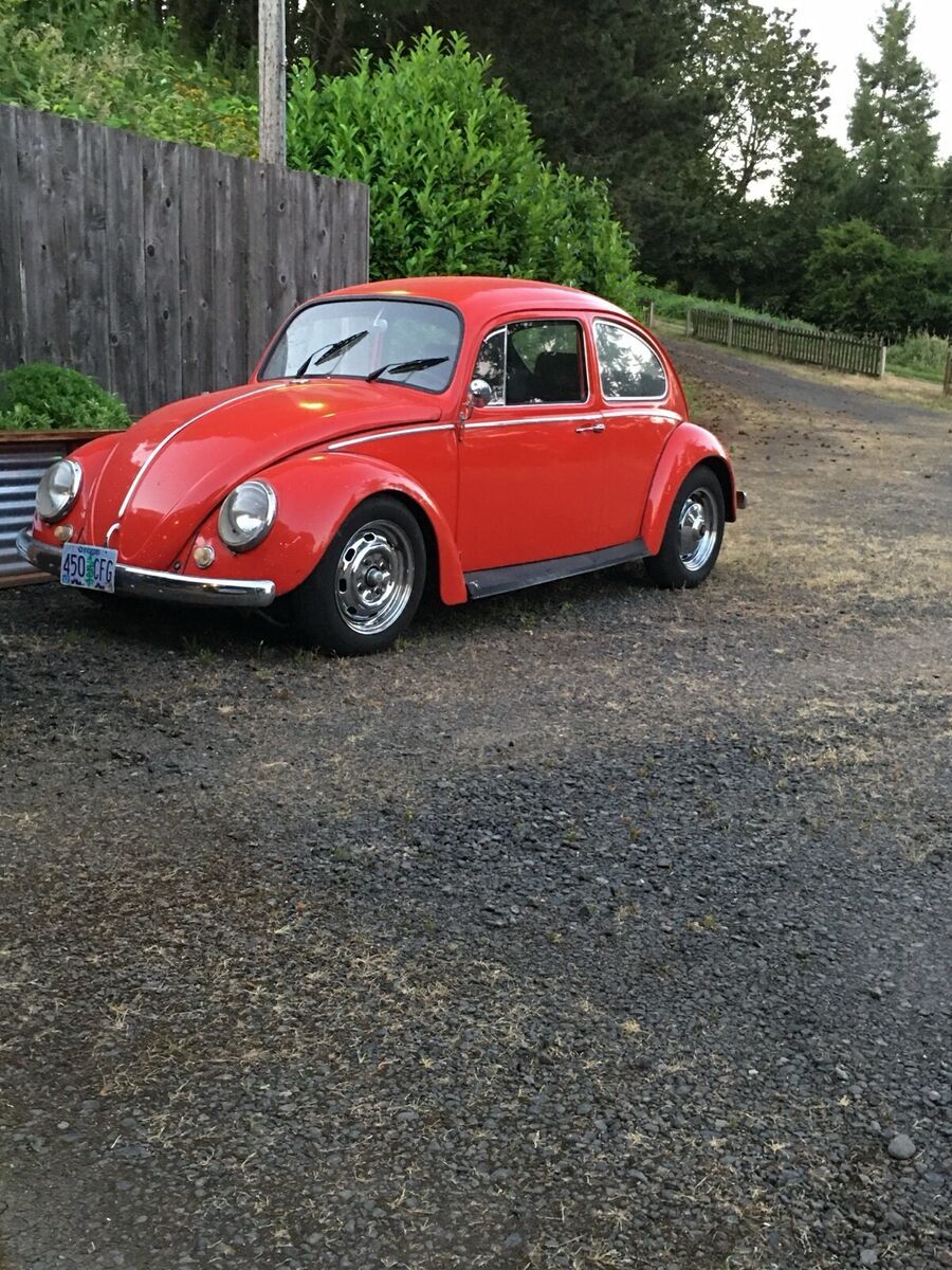 1966 Volkswagen Beetle chrome - photo 3