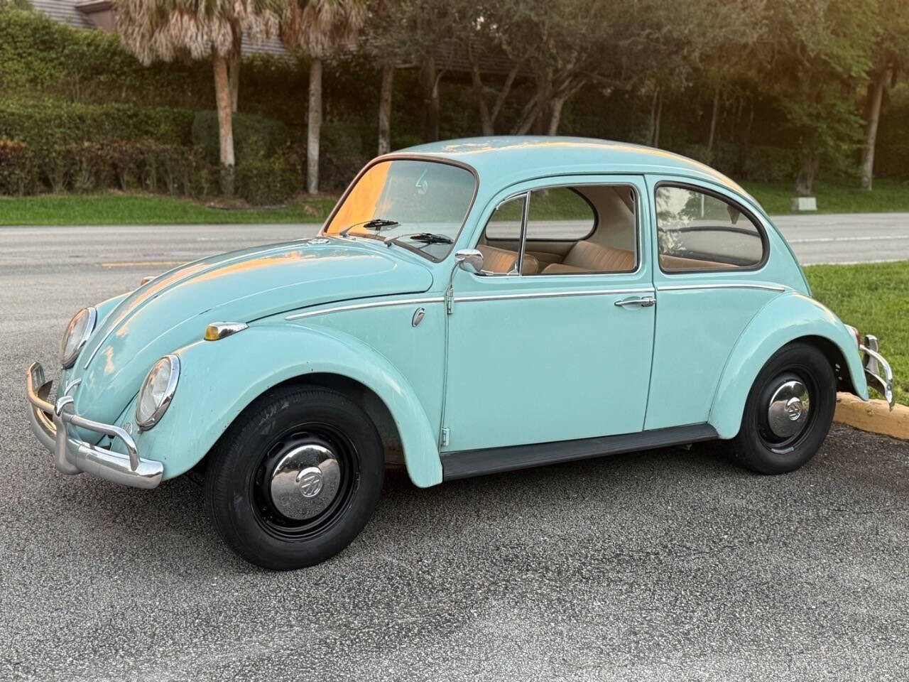 1966 Volkswagen Beetle - Classic - photo 2