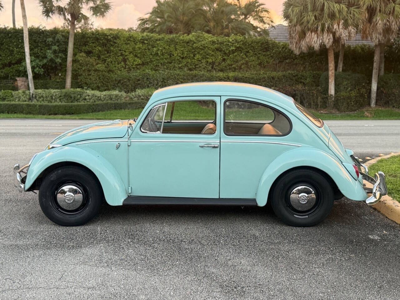 1966 Volkswagen Beetle - Classic - photo 3