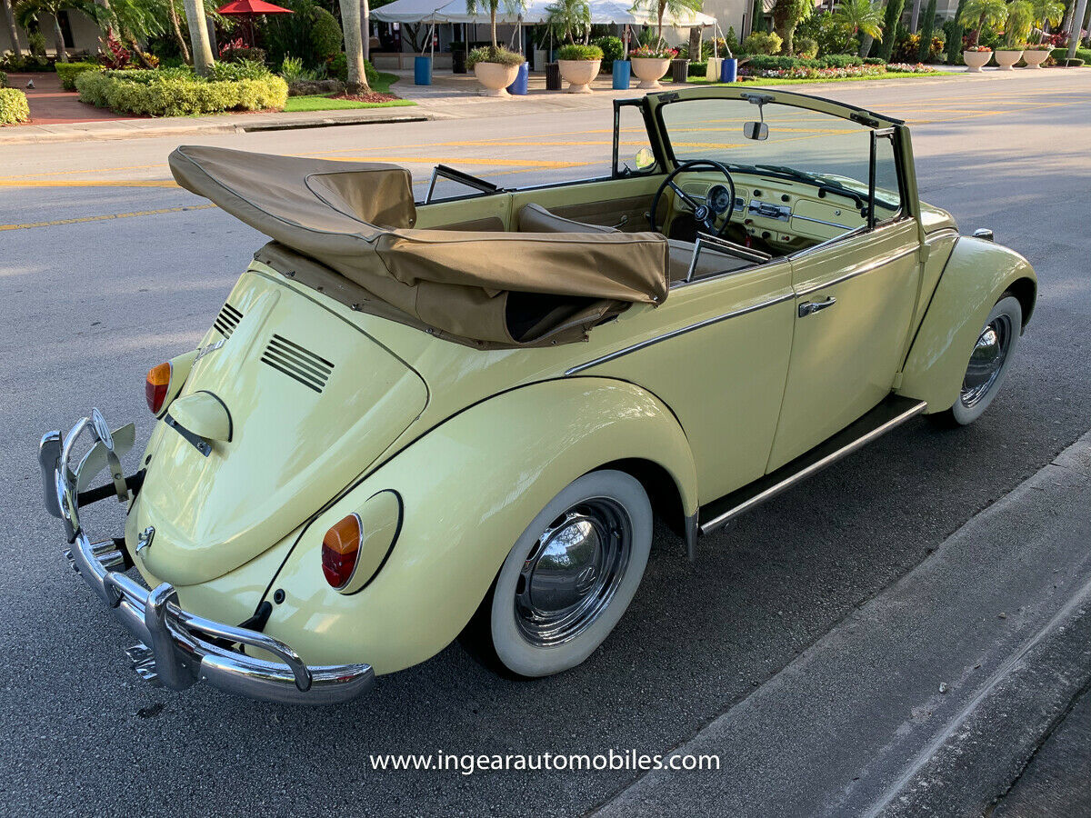 1966 Volkswagen Beetle - Classic Convertible! Tan Interior! SEE Video!! - photo 3
