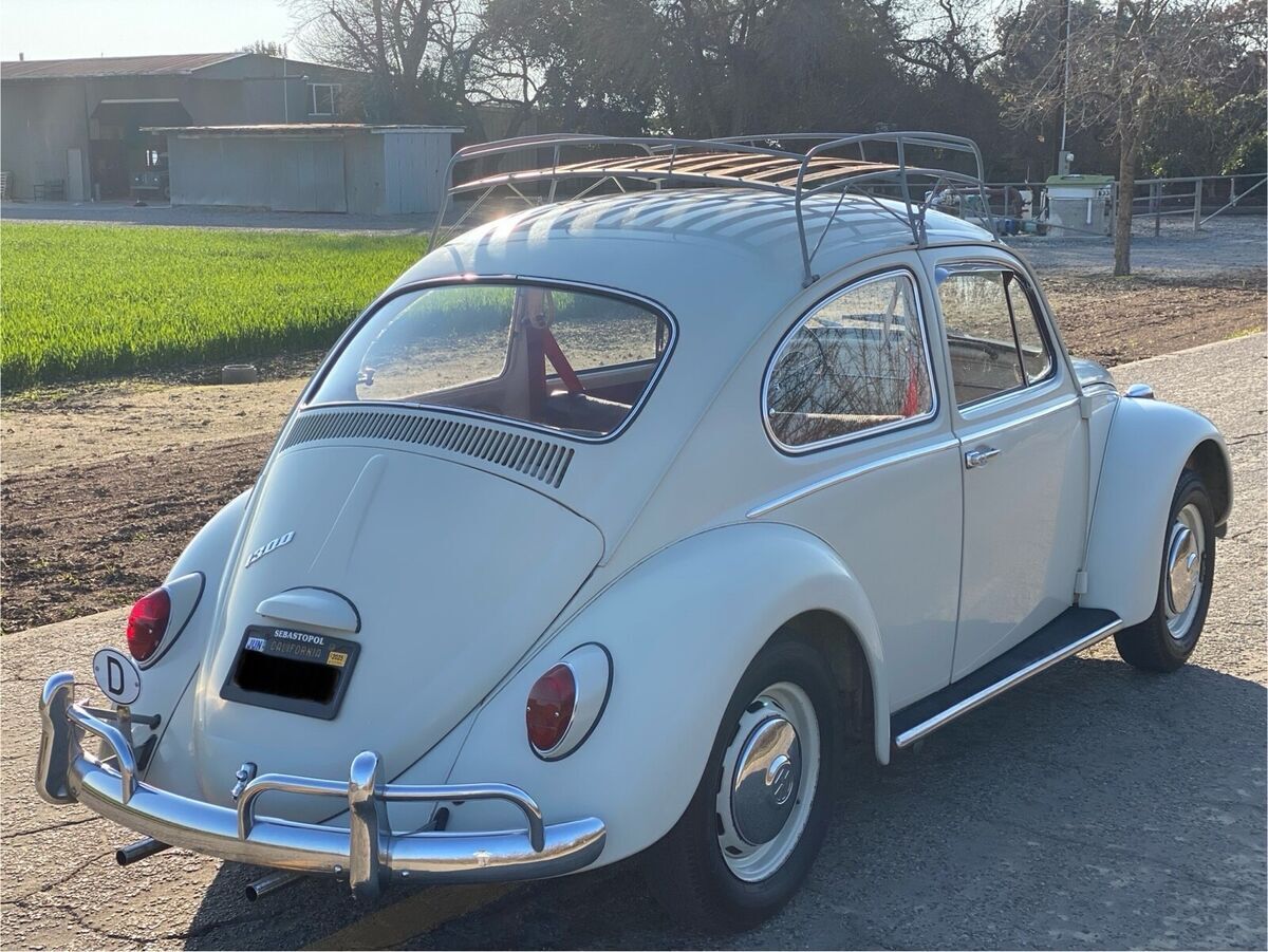 1966 Volkswagen Beetle - photo 3