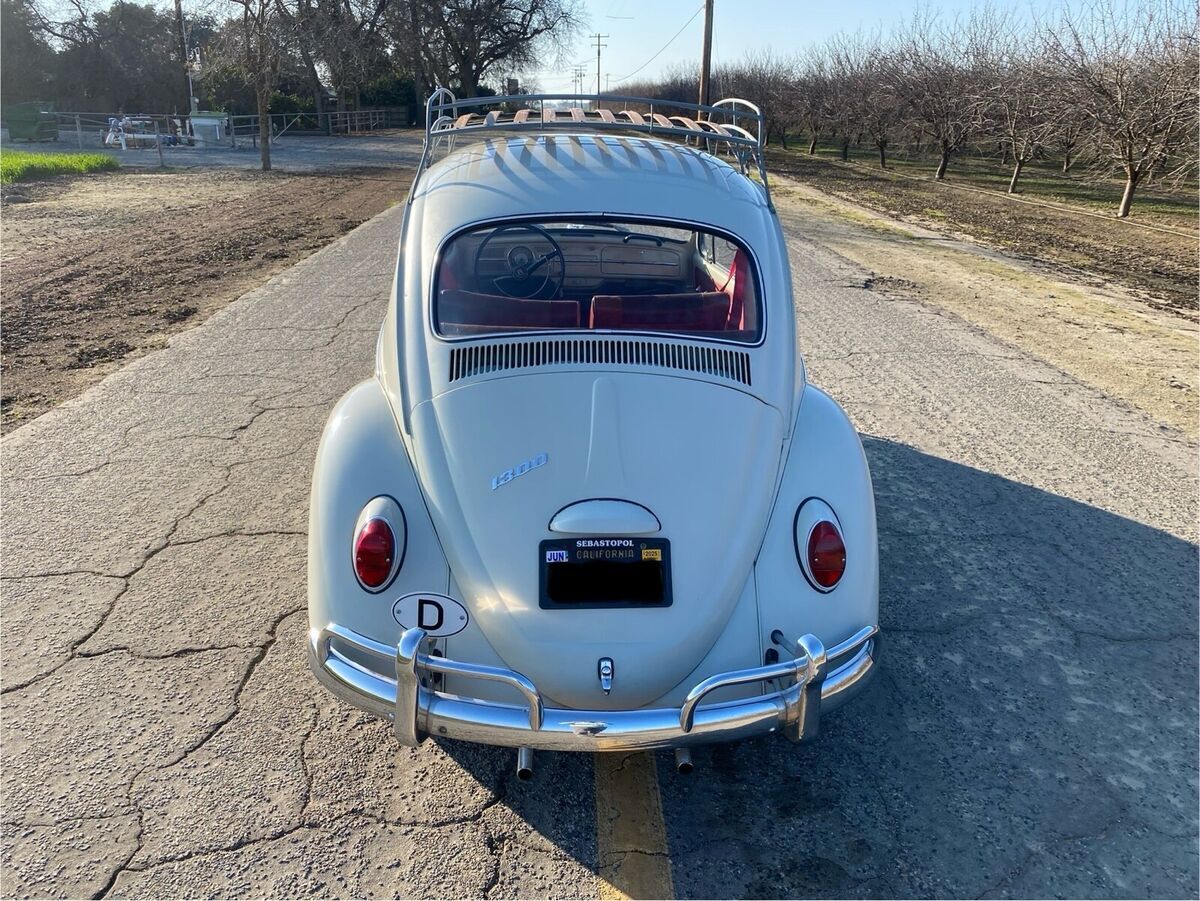 1966 Volkswagen Beetle - photo 4