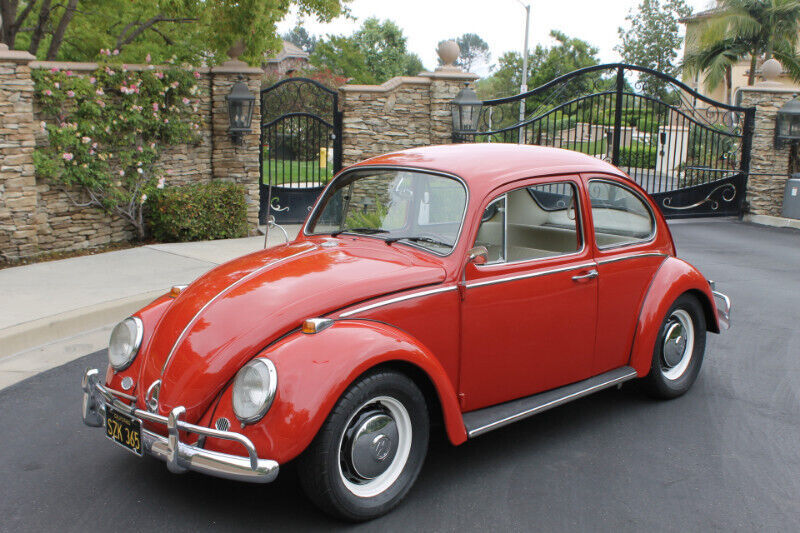 1966 Volkswagen Beetle - Classic