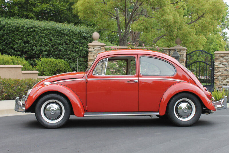 1966 Volkswagen Beetle - Classic - photo 4