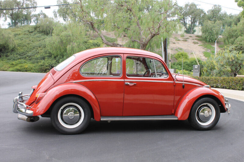 1966 Volkswagen Beetle - Classic - photo 6