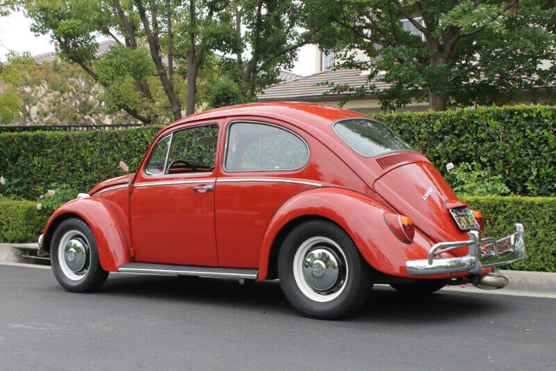 1966 Volkswagen Beetle - Classic - photo 9