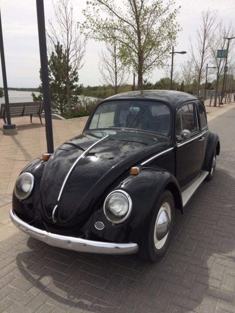 1966 Volkswagen Beetle - Classic - photo 2