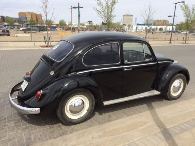 1966 Volkswagen Beetle - Classic - photo 3
