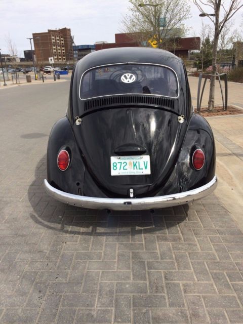1966 Volkswagen Beetle - Classic - photo 4