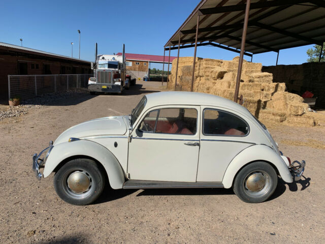 1966 Volkswagen Beetle - Classic