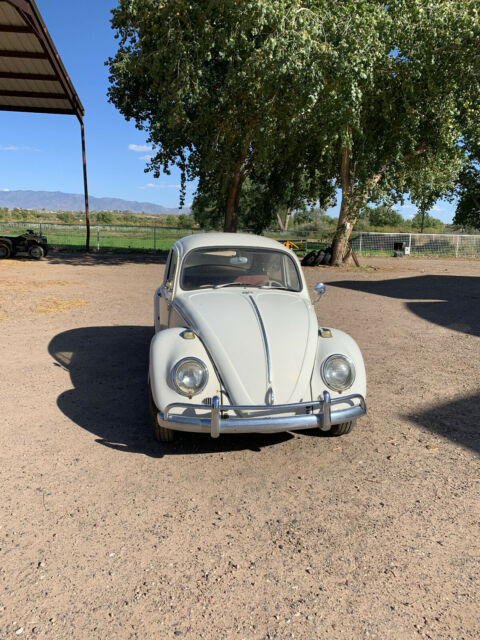 1966 Volkswagen Beetle - Classic - photo 2