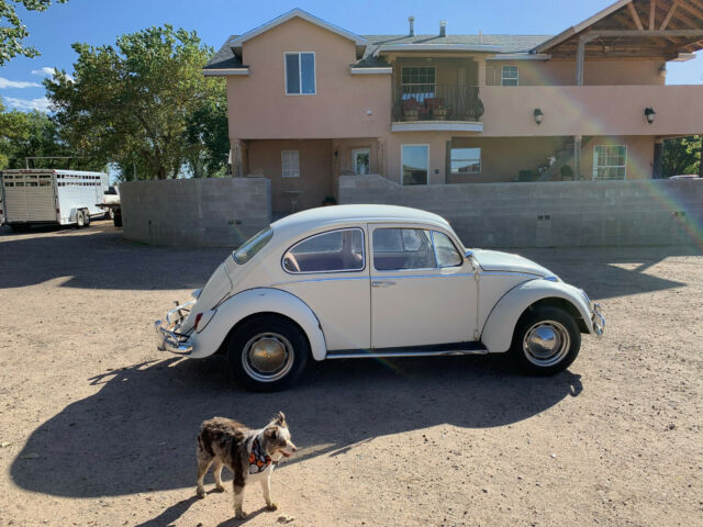 1966 Volkswagen Beetle - Classic - photo 3